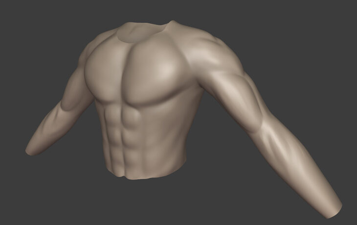 Muscle Anatomy Practice