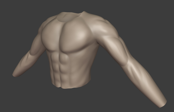 Muscle Anatomy Practice